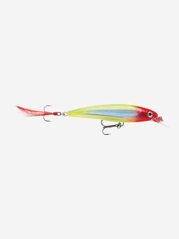 Воблер для рыбалки RAPALA X-Rap 10, 10см, 13гр, цвет CLN, нейтральный, Зеленый