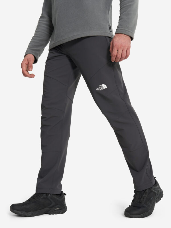 Брюки мужские The North Face Diablo Reg, Серый