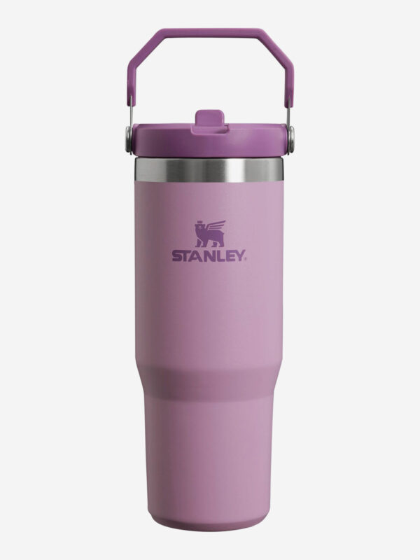 Термокружка Stanley IceFlow Flip Straw Tumbler, 890 мл, фиолетовая, Фиолетовый