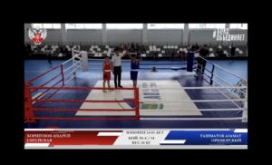Соревнования по боксу 24-28 июня 2026